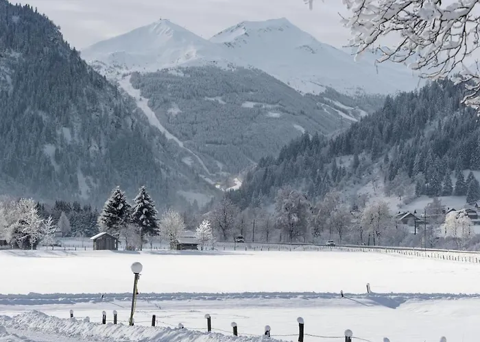 Kurapotheke Apartment